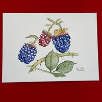 Kleines Aquarell einiger Brombeeren in blau und rot mit Blättern